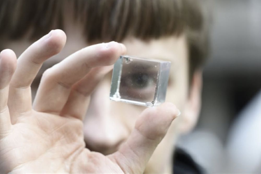 Attila looking at the camera through a transparent cube